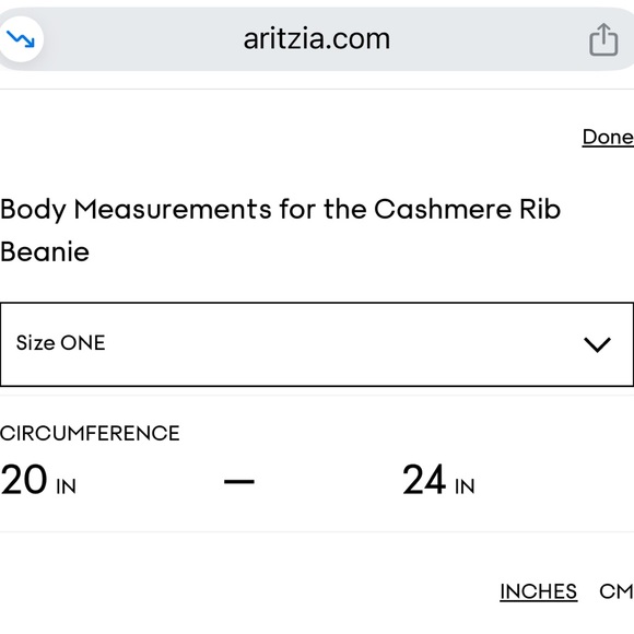 Aritzia Alxiliary Heather Chrome 100% Cashmere Ribbed Knit Beanie - Picture 5 of 5